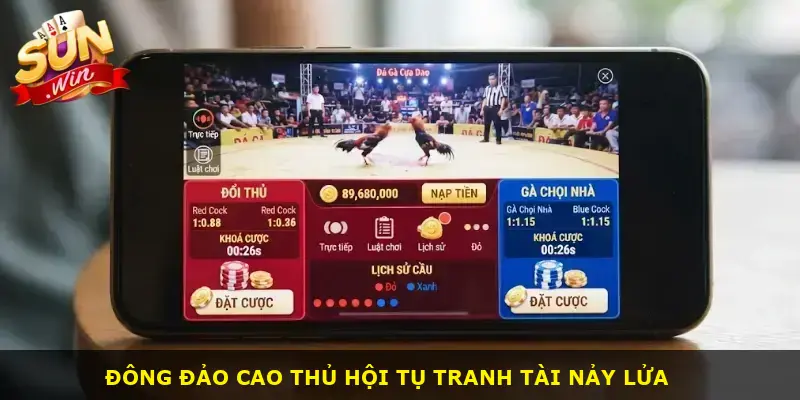 Đá gà cựa dao Sunwin - ảnh 1