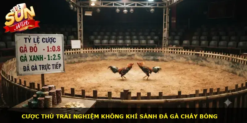 Đá gà Campuchia Sunwin - ảnh 1