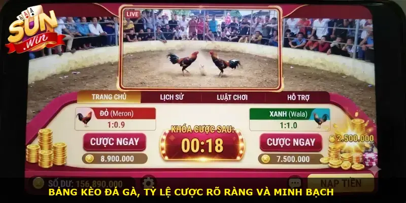 Đá gà cựa sắt Sunwin - ảnh 2