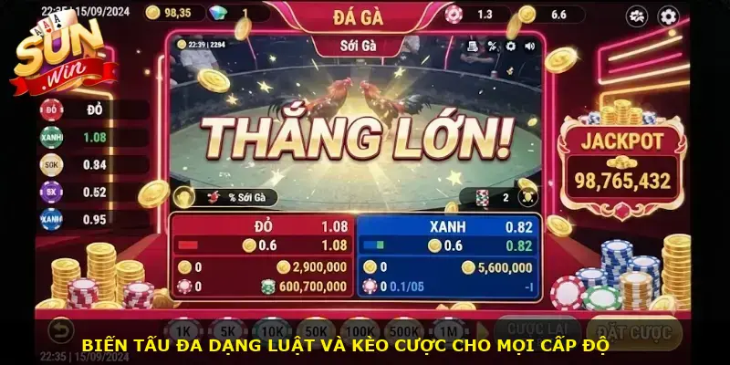 Đá gà cựa dao Sunwin - ảnh 2