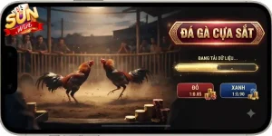 Đá gà cựa sắt Sunwin hấp dẫn, tỷ lệ thưởng cao cho người yêu đam mê