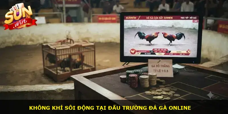 Đá gà cựa sắt Sunwin - ảnh 1