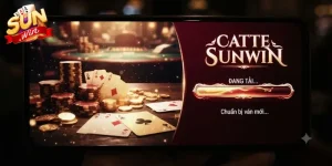 Catte Sunwin trải nghiệm game bài hấp dẫn dễ thắng cho người chơi mới