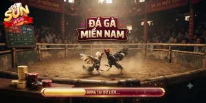Đá gà miền Nam Sunwin hấp dẫn với trải nghiệm kịch tính mỗi ngày