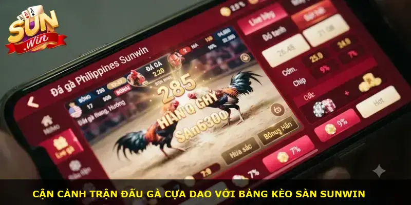 Đá gà Philippines Sunwin - ảnh 2