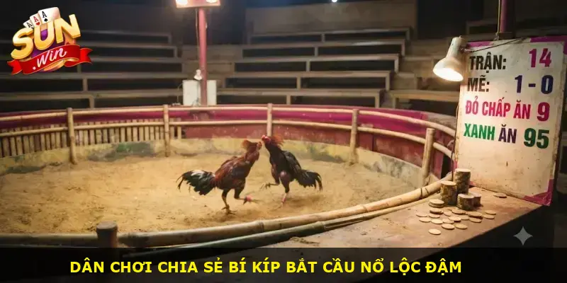 Đá gà cựa dao Sunwin - ảnh 3
