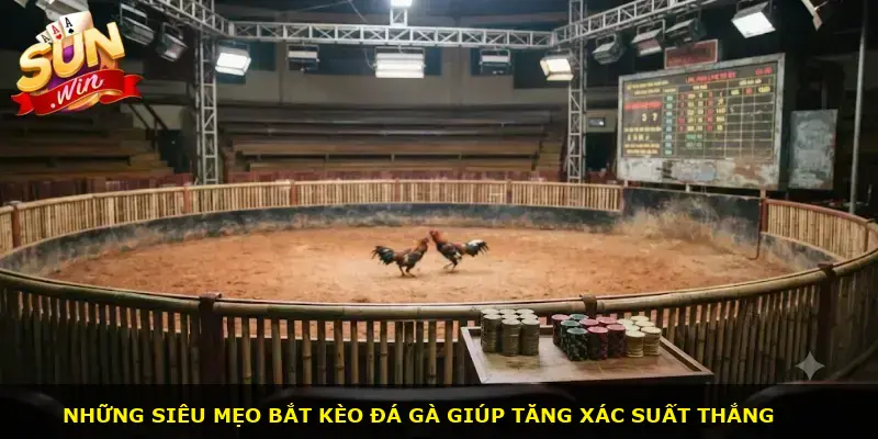 Đá gà cựa sắt Sunwin - ảnh 3